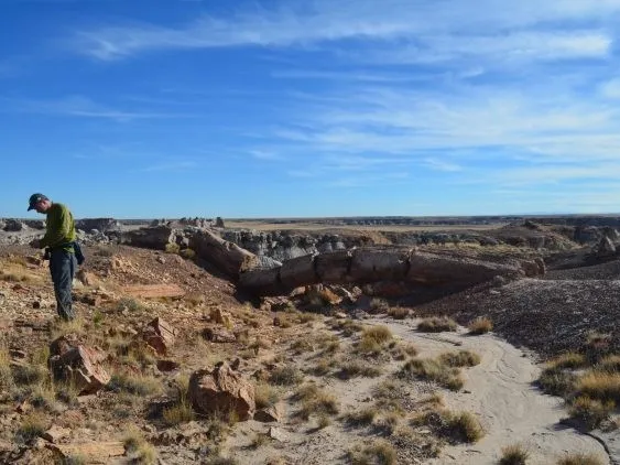 The continuation of drought conditions in the last two years has broken a record going back to 800 AD. Here, desert near Holbrook, Arizona. Credit: Kevin Krajick