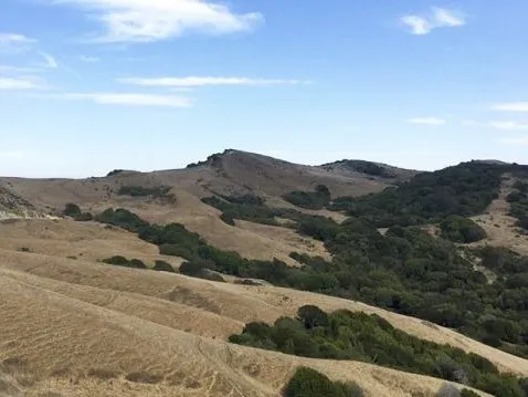 A dryland ecosystem in Northern California shows decreasing soil moisture but little changes in surface water availability. Credit: Columbia Engineering