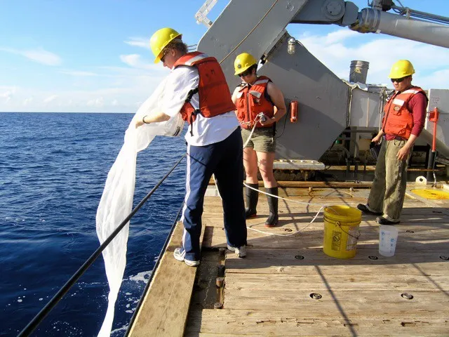 Sonya Dyhrman in the western North Atlantic, fishing for microbes with the assistance of group members and the crew of the R/V Atlantic Explorer. Credit: Dyhrman Lab