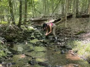 Next Gen intern Liliane searching for crayfish and frogs 