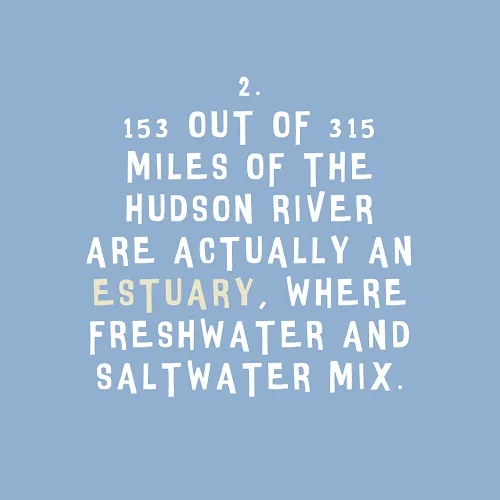 5 facts about the Hudson that you might not have known: Fact 2. Created by Kashi Nanavati, Jed Roth, and Jeanne Joof. 