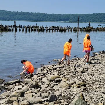 microplastic sampling