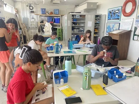 Water Chemistry Sampling