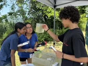 High school students use dichotomous keys to identify the species of fish in a tank