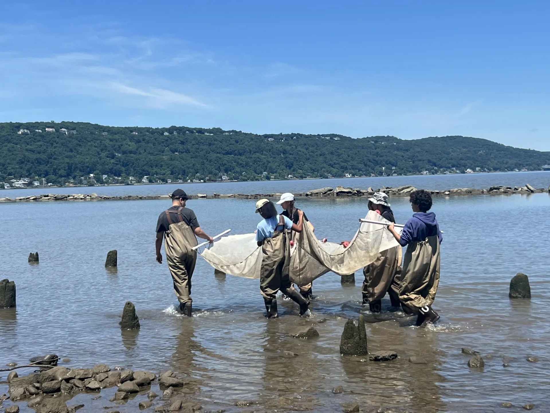 Next-Gen Interns carrying a seine net out into the Hudson to fish