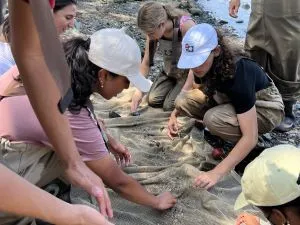 People look through a seine net to find fish or crabs