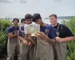 Interns observe fish in tank