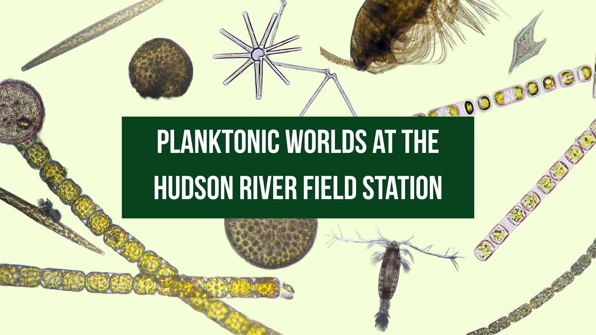 Introduction to Planktonic Worlds at the Hudson River Field Station