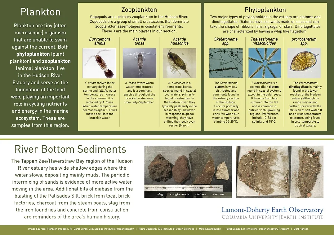The invisible world station at the Hudson River Field Station is dedicated to exploring the microscopic living and nonliving things that are moving in the estuary: sediments, plankton, and microplastics.