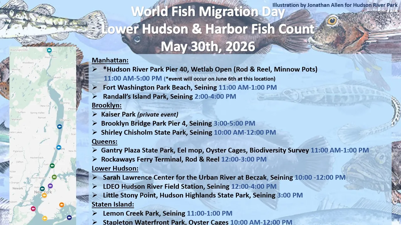 World Fish Migration Day Sites
