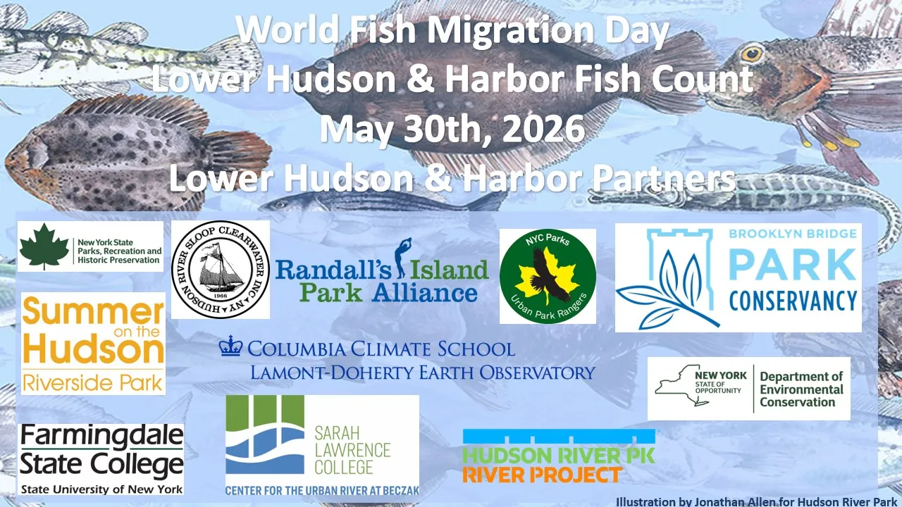 World Fish Migration Day Partner Organizations  