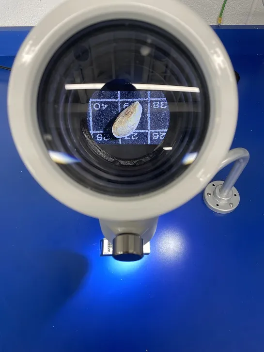 Easy viewing Wentzscopes are great for learners of all ages who would like to explore the microscopic world.