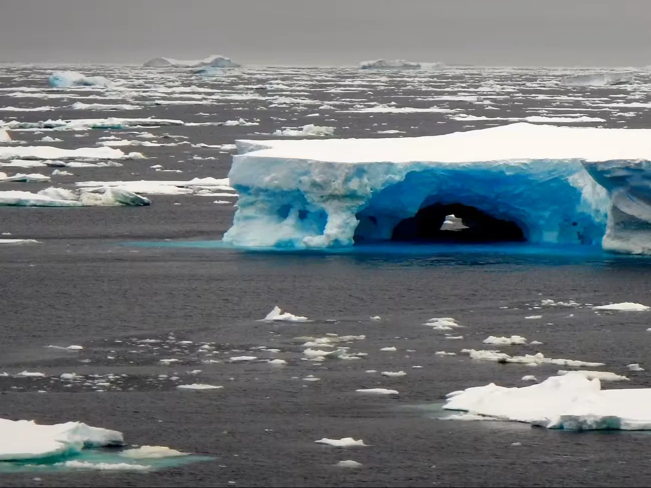 Iceberg in the Amundsen Sea, off the coast of western Antarctica. Credit: Johann P. Klages