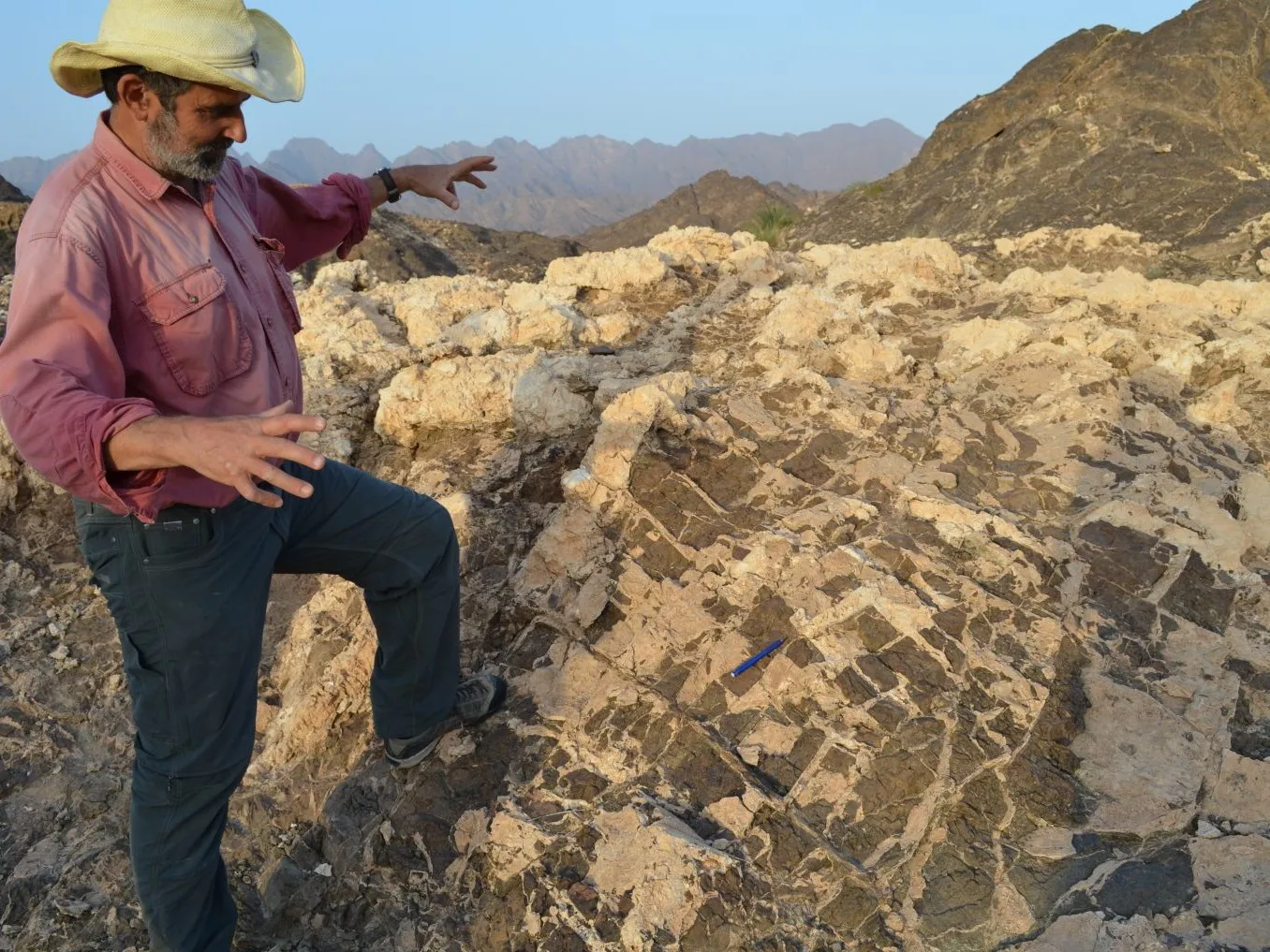 Geologist Peter Kelemen surveys an outcrop of exposed mantle rock in Oman. Credit: Kevin Krajick