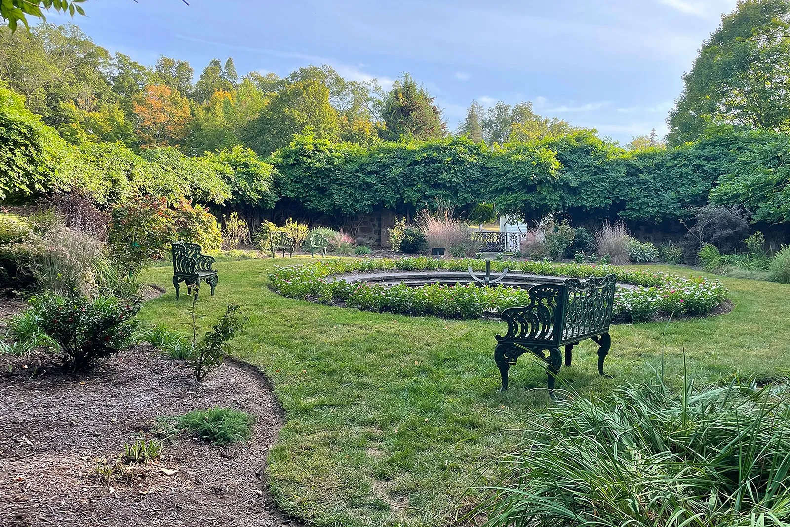 Perennial Garden: Carl Brenner