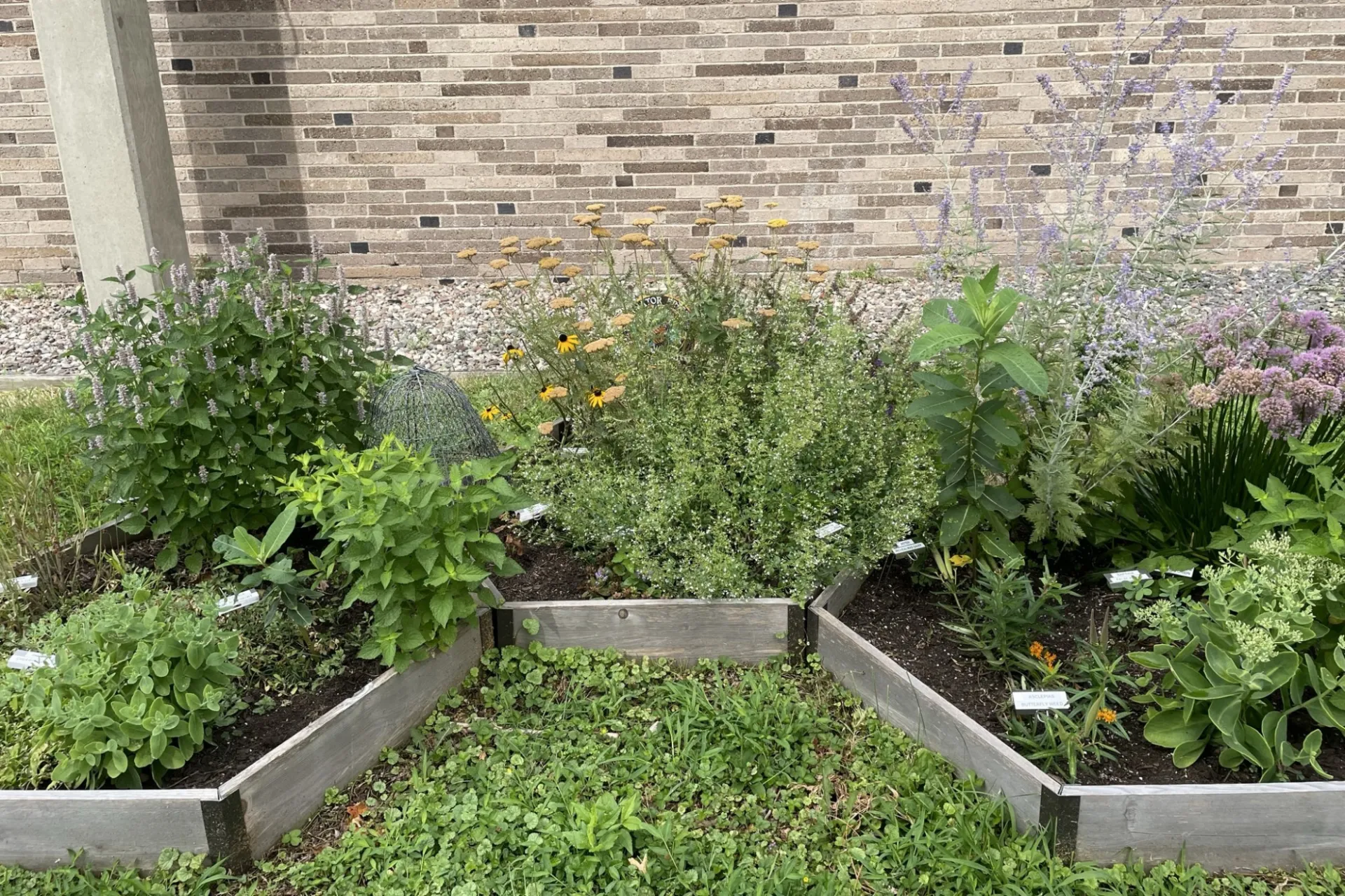 Plantings in Lamont garden.