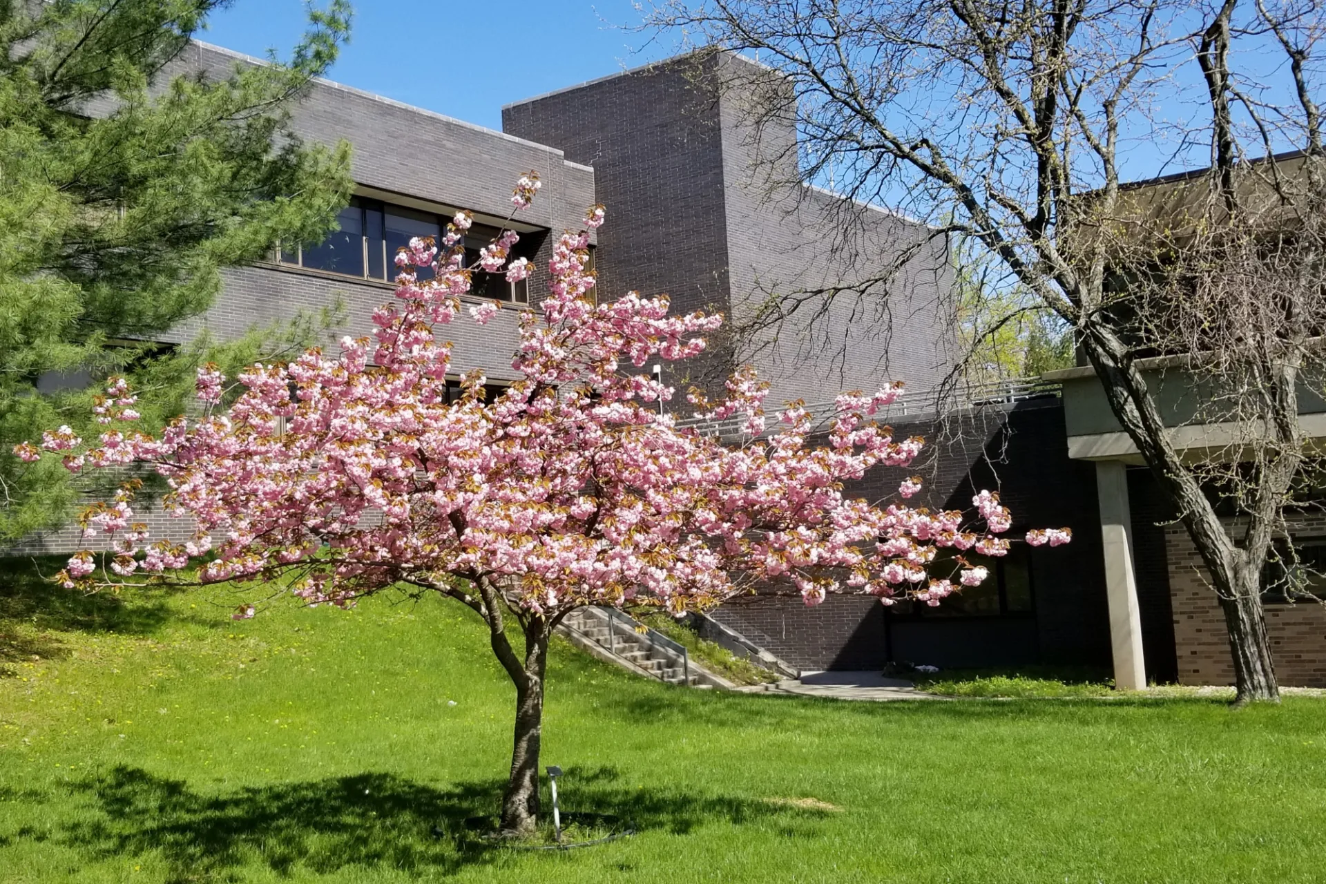 Geoscience Building. Credit: William Menke