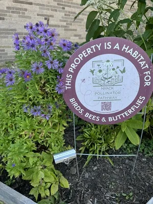 Nyack Pollinator Pathway sign in garden bed