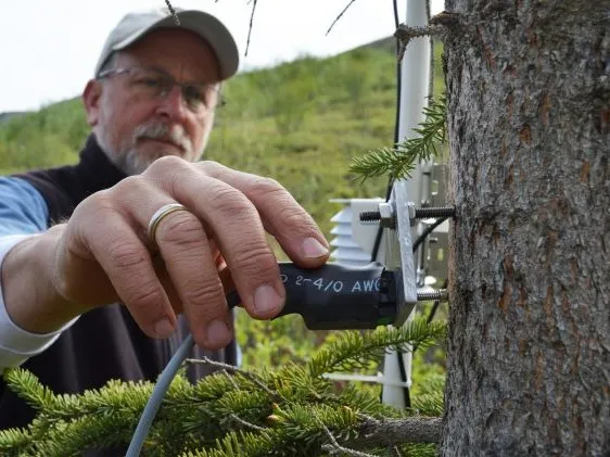 Plant Physiologist Kevin Griffin Using Remote Sensing to Track Daily Rhythms of Trees - Credit: Kevin Krajick