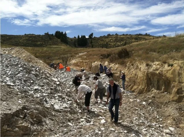 Paleobotanists prospecting Foulden Maar for fossils, 2013. Credit: William D’Andrea