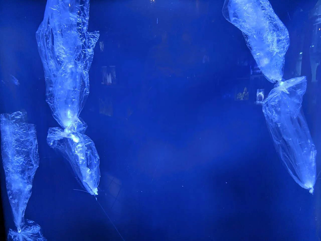 An exhibit at the Mote Marine Aquarium that displayed plastic bags in the ocean resembling jellyfish. Credit: U+1F360 via Wikimedia