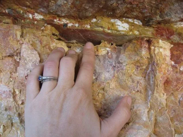 Heather Savage’s team sampled all along the Muddy Mountain thrust in Nevada and made some surprising discoveries. Credit: Heather Savage