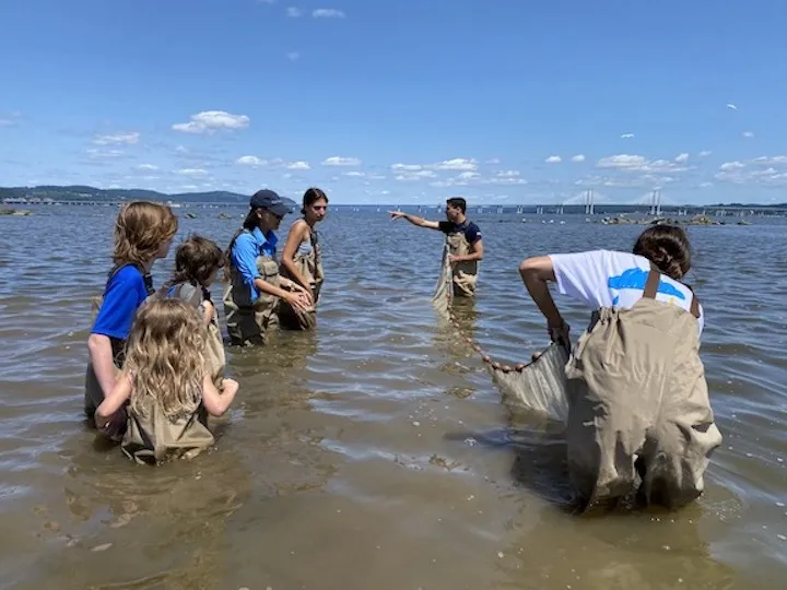 Science Saturday participants seining.