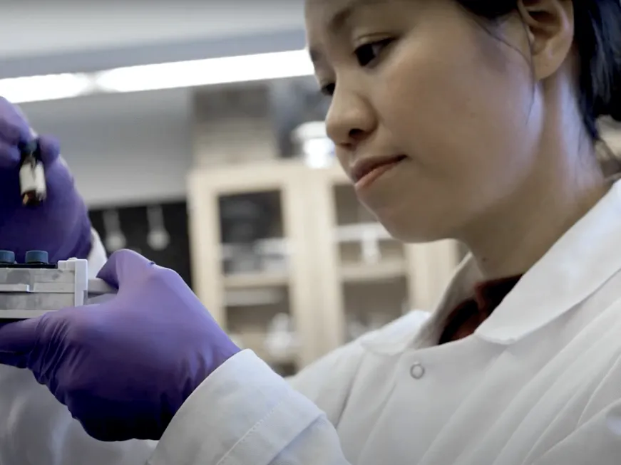 A scientist at work in Beizhan Yan's nanoplastics lab at Lamont-Doherty Earth Observatory.