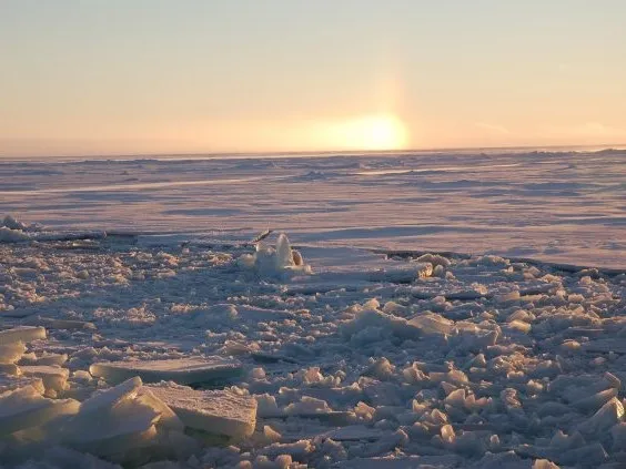 Sea ice north of the Canadian Arctic Archipelago. This photo was taken from an ice breaker just outside the projected Last Ice Area, which is almost impossible to navigate by ship. Credit: Robert Newton/Lamont-Doherty Earth Observatory