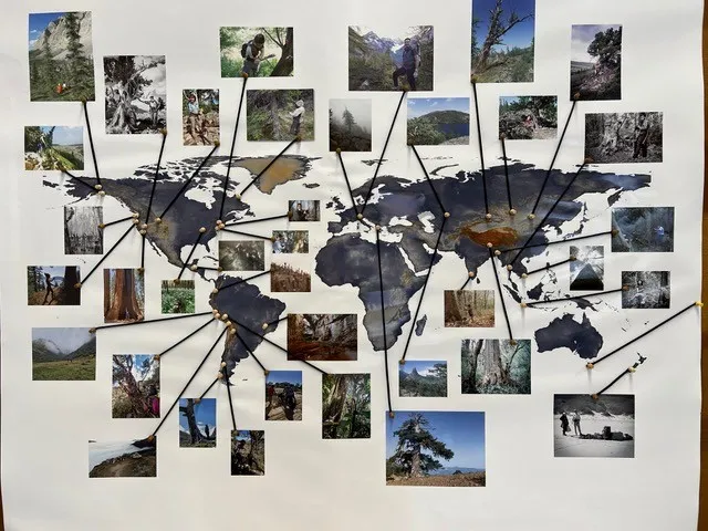 Map depicting the global extent of the research conducted by the LDEO Tree Ring Lab over 50 years.
