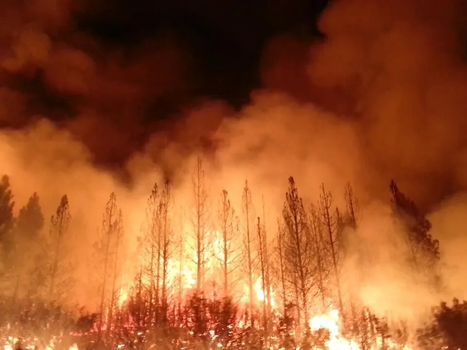Stanislaus National Forest, California, August 2013. (U.S. Forest Service)