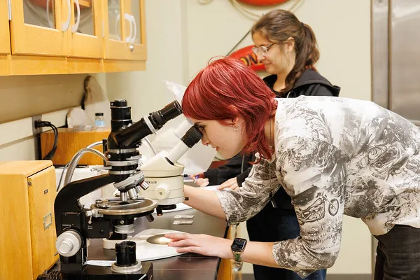 Scientists in a lab looking through microscopes