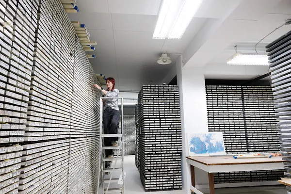 Look into the Lamont Core Repository at numerous sediment cores