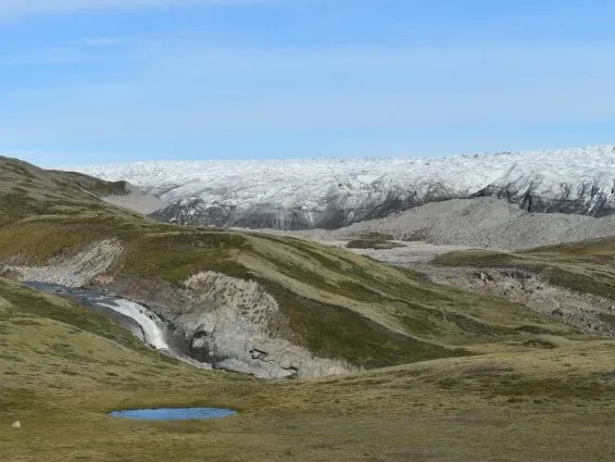 Stretch of relatively new tundra adjoins the fast-wasting edge of Greenland ice sheet. Credit: Kevin Krajick