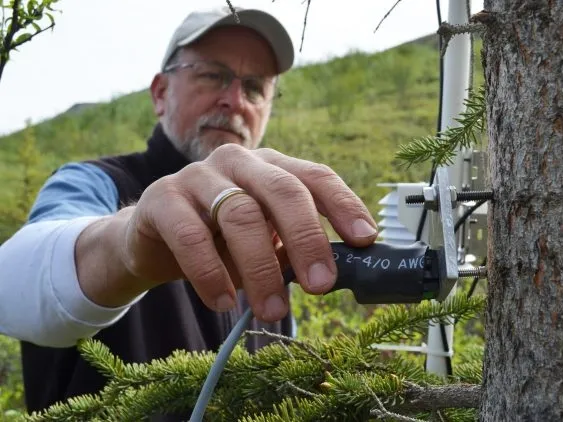Lamont plant physiologist Kevin Griffin uses remote sensing to track the daily rhythms of trees. Credit: Kevin Krajick