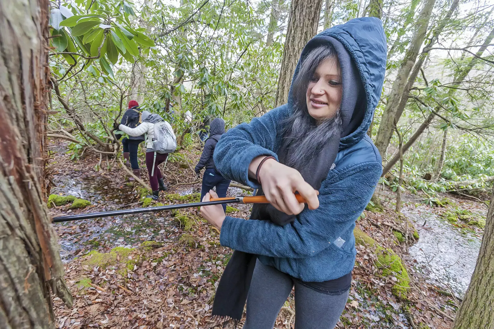 Tree-ring scientist Rose Oelkers, when an undergraduate student at William Paterson University, cores a tree at High Point State Park for a Hydrology course. Credit: Nicole Davi