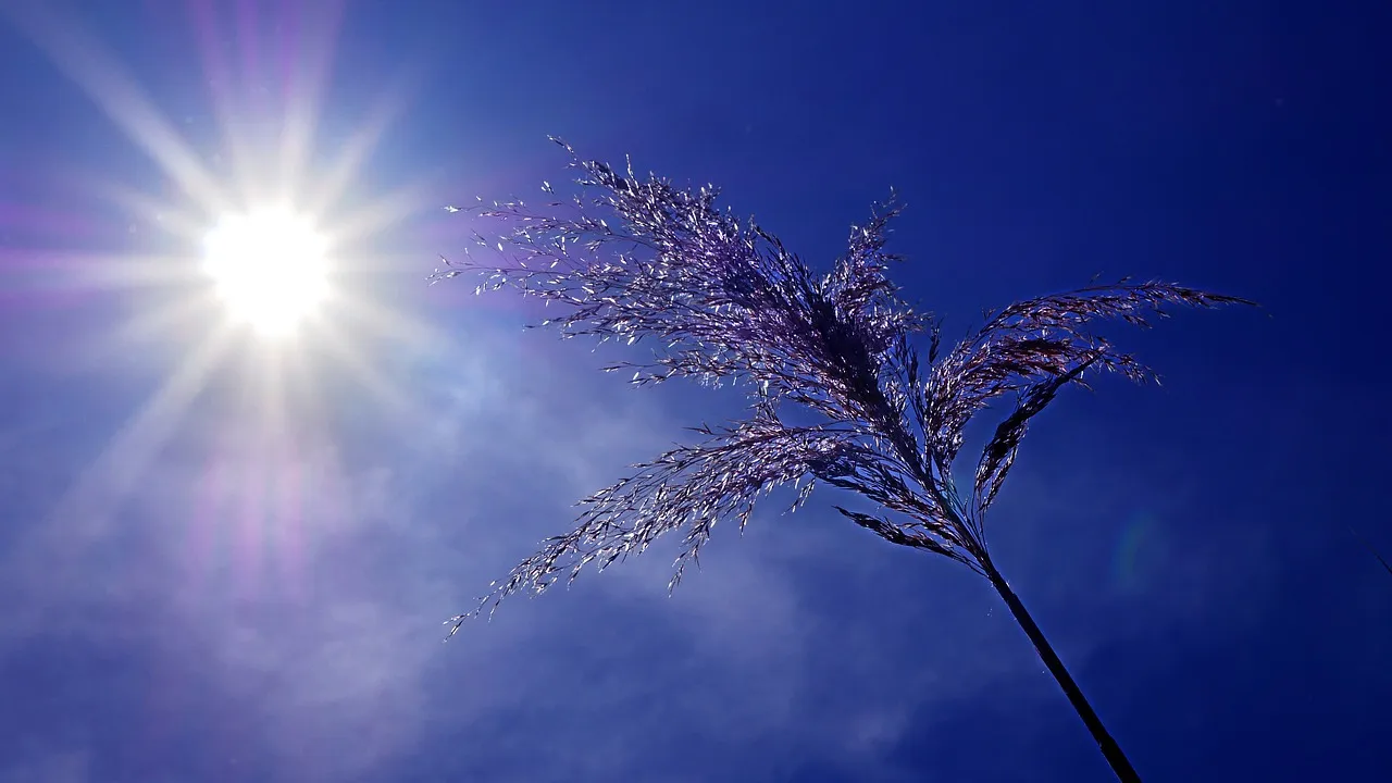 drought 5226296 1280.jpg