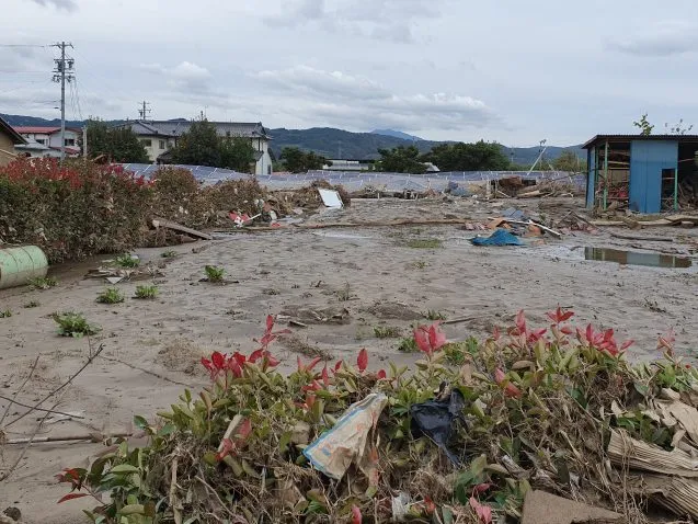 solar panels damaged from typhoon