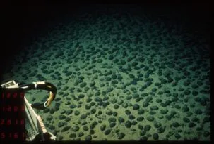 nodules dans le Pacifique equatorial nord 303x205.jpg