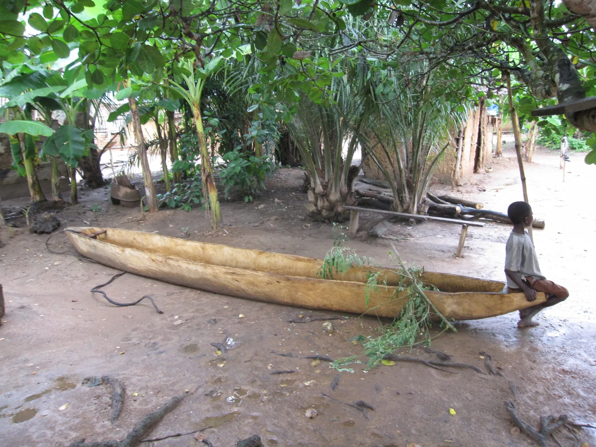flooding significantly impacts african food security says study