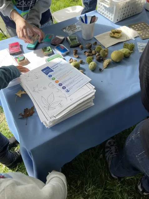 Leaf Stencils 2 Open House 2022 478x637.jpeg