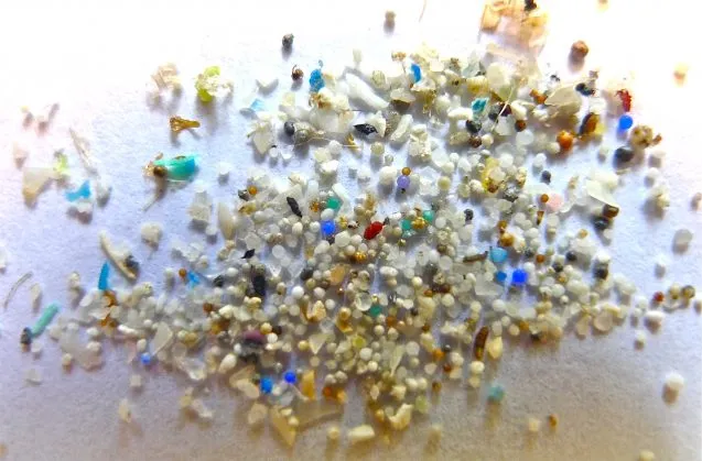 ocean plastic washed up on a beach