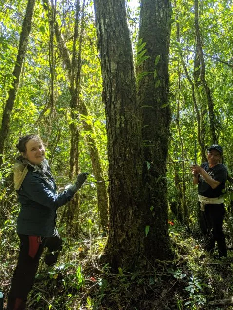 coring central bolivian amazon 478x637.jpg