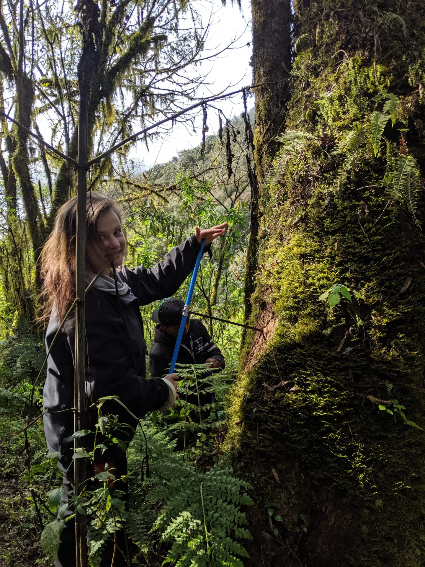 coring_tucman-Bolivian Forest in South bolivia