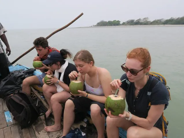 3.11.greencoconut 637x478.jpeg