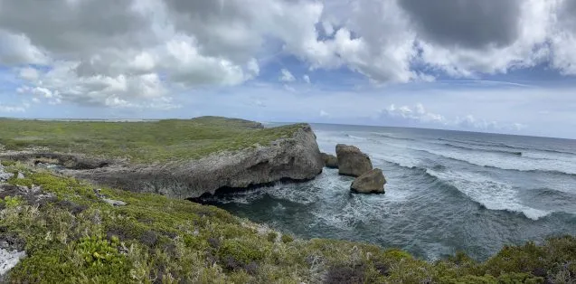 rocky coastline and ocean waves