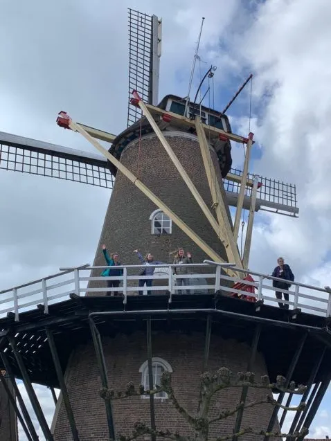 2.IMG 3891windmill 478x637.jpeg