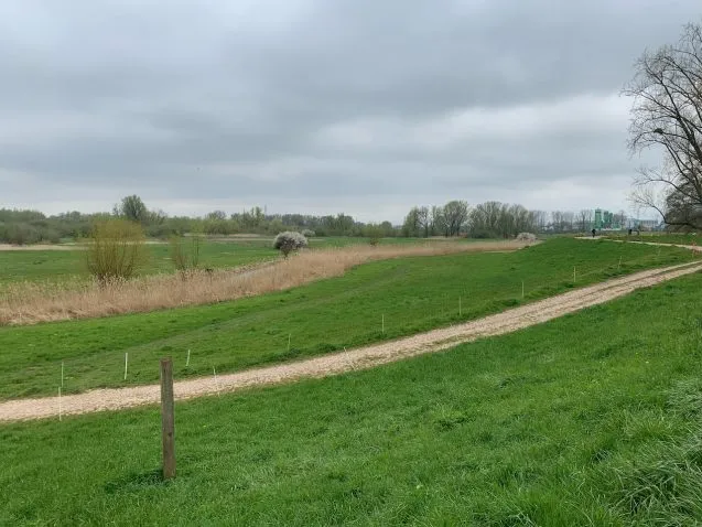 3.IMG 3922dikeWageningen 637x478.jpeg