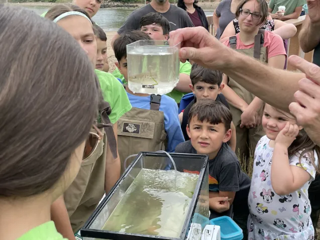 Participants gather for fish count