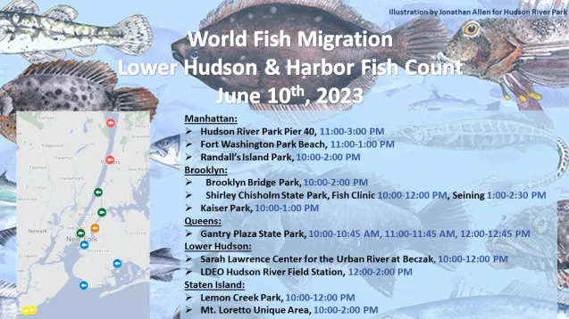 Fish Count Sites
